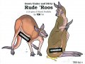 tor_118_rude_roos_cover.jpg